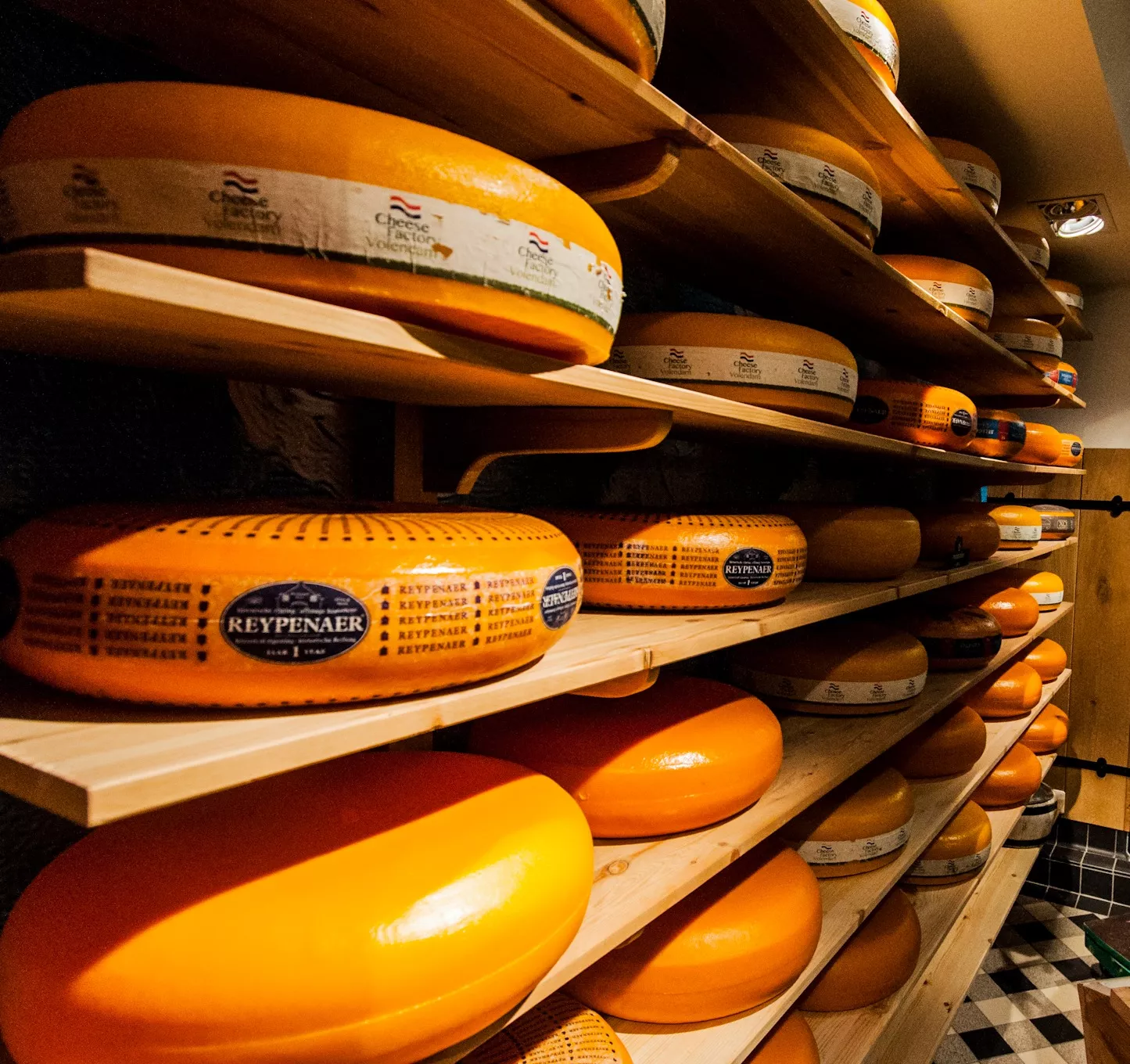 cheese-tasting-amsterdam
